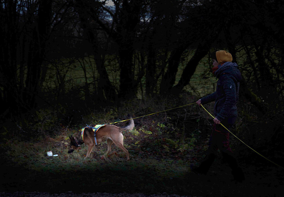 Mantrailing nocturne dans le Jura